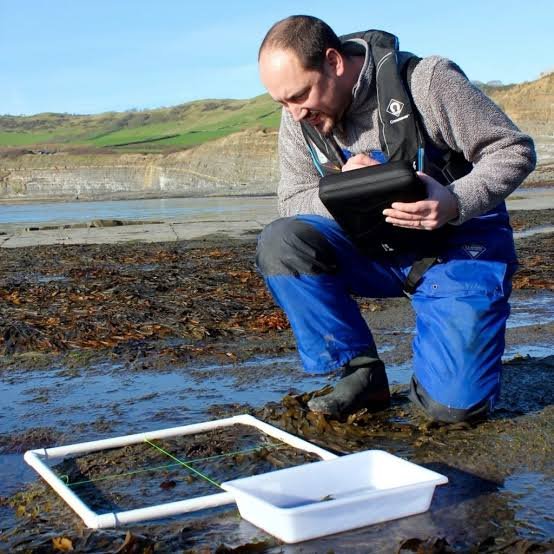 Marine Baseline Survey